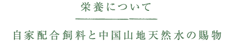 栄養について