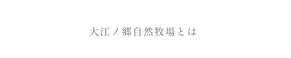 大江ノ郷自然牧場