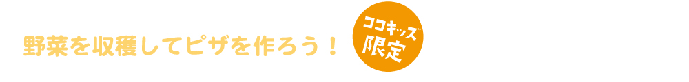 野菜の収穫ピザ作り体験