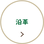 沿革