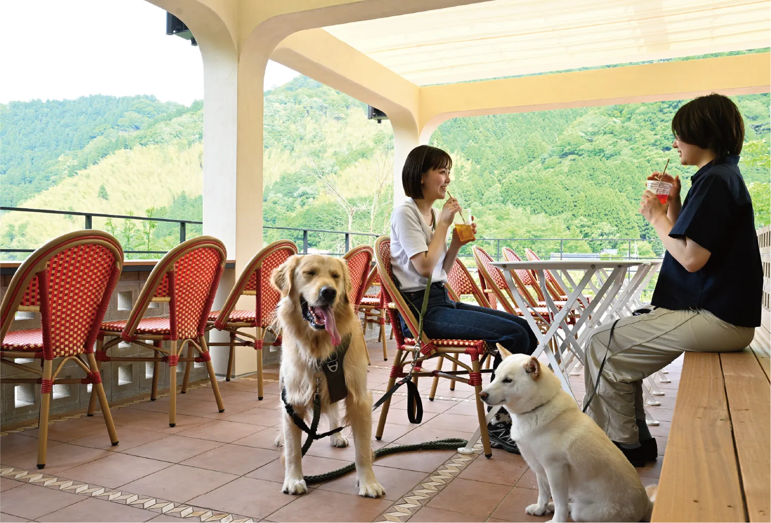 ペットと楽しむ2