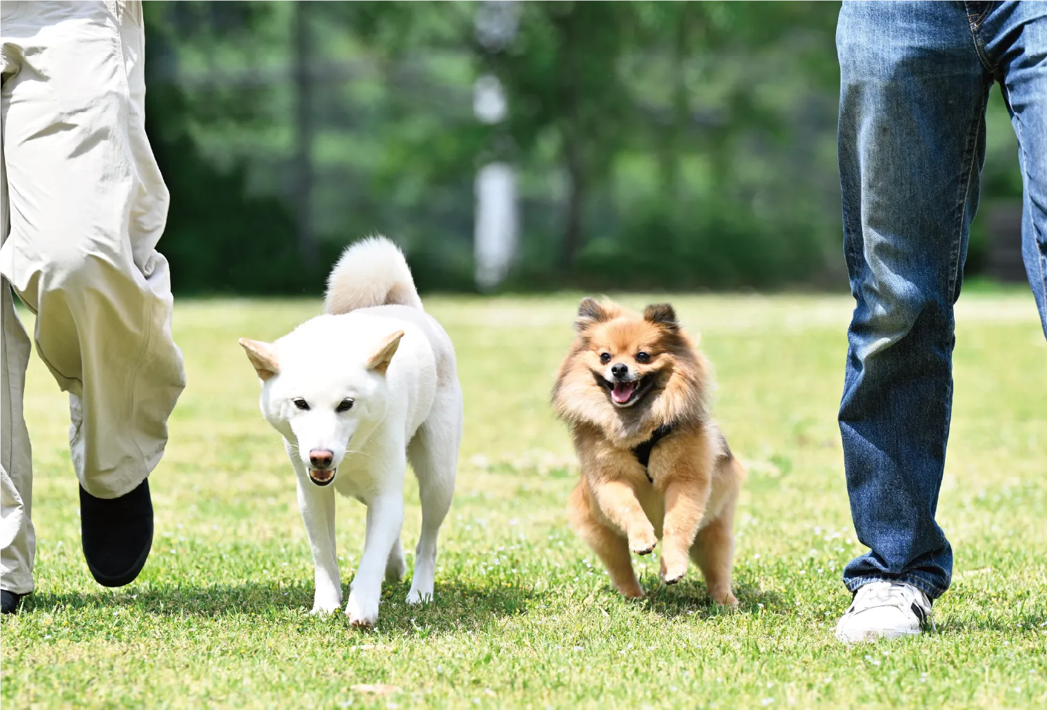 ぺットと楽しむ2