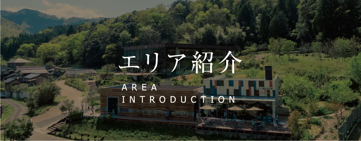 エリア紹介