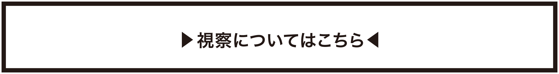視察要項
