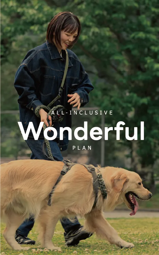ワンダフルプラン