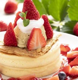 大江ノ郷リゾート 大江ノ郷自然牧場